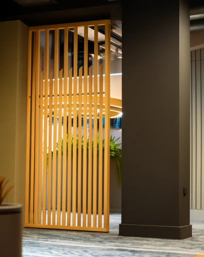 Tommaslide 200 Sliding Door Mechanism