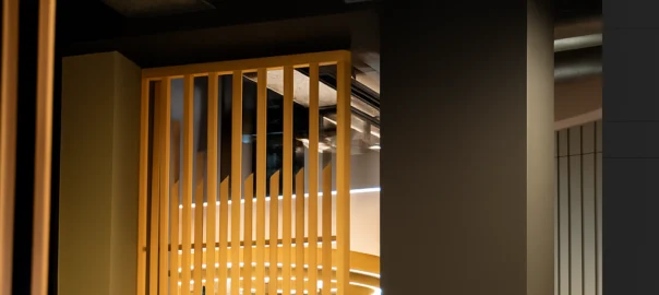Pocket door Closed new