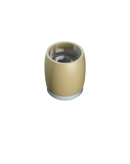 Series 50 20mm Diameter Brass Bottom Guide Roller