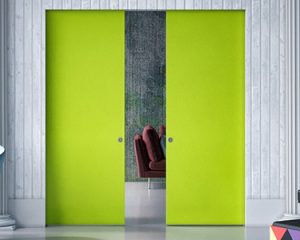 Evo pocket door