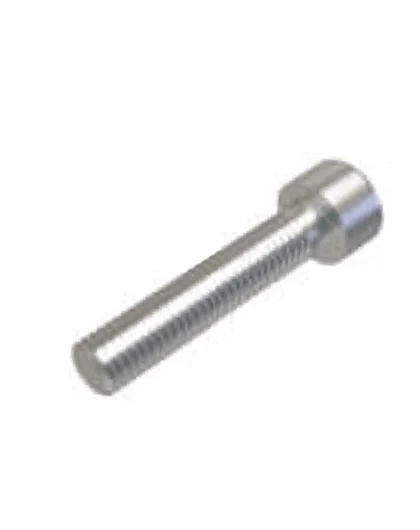 Fitting Bolt