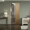Valto-Single-Pocket-Door-Image-1-1.webp